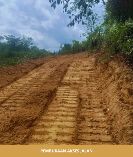 Jalan tanah yang baru dibuka